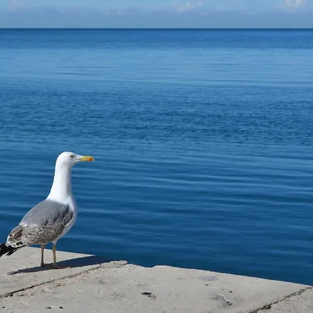 Apartamento Seaside - Location *