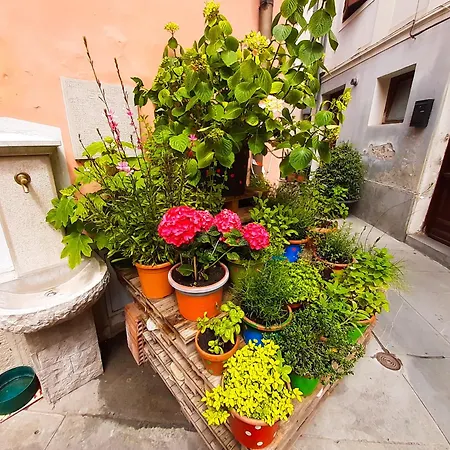 Seaside - Location Izola