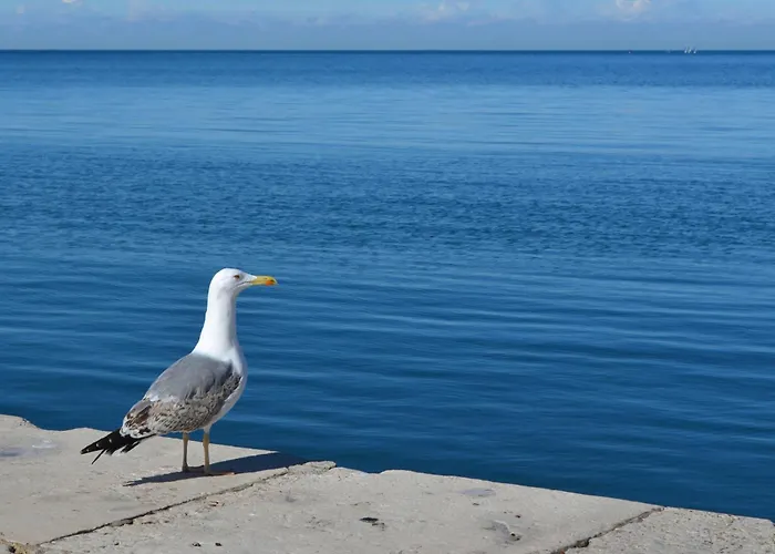דירה Seaside - Location *